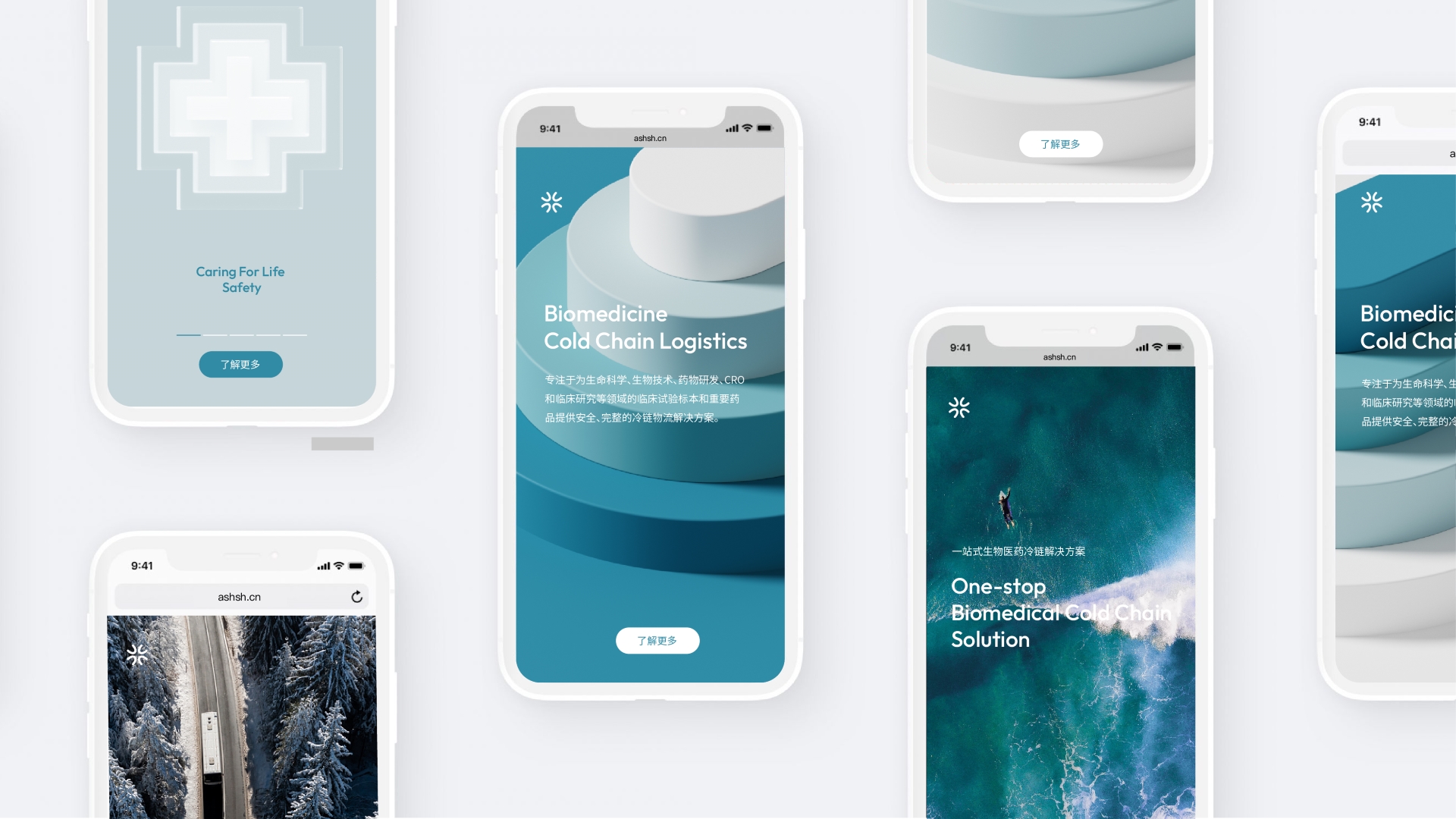 1686496033954174.jpg SS LOGISTICS_生(sheng)生(sheng)物(wù)流v4_畫闆6.jpg